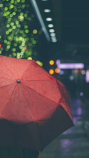 张含韵黑料截图4